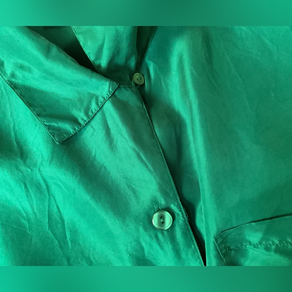 Vintage DVF Silk Shirt, Large, Green - Picture 5 of 5
